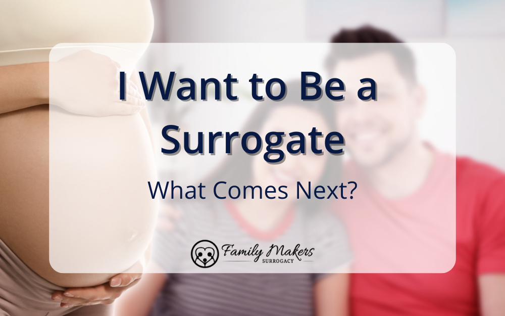 I Want to be a Surrogate – What Comes Next?